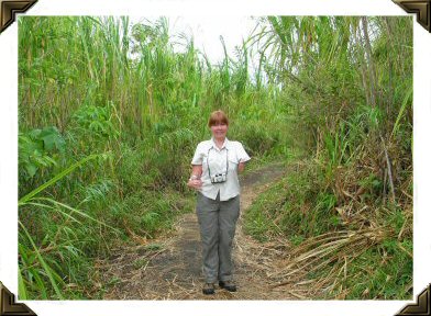 path to volcano