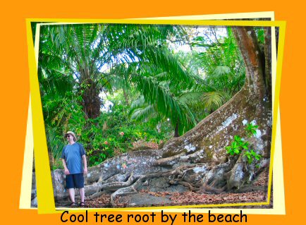 tree root