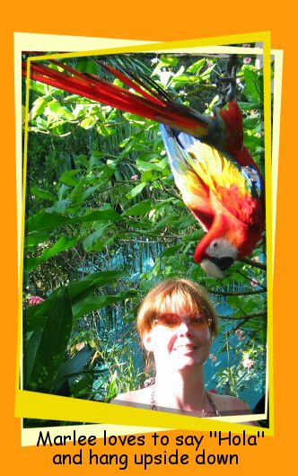 macaw & carla