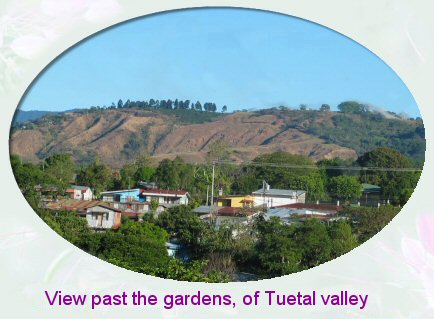 tuetal valley