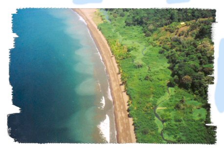 water, beach,
              land