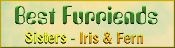 Iris & Fern photos together!