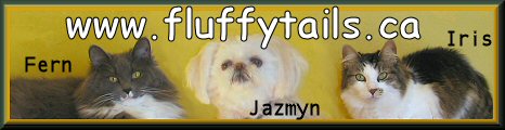 Fluffytails banner