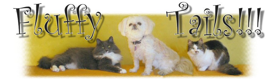 Welcome to Fluffy Tails Website