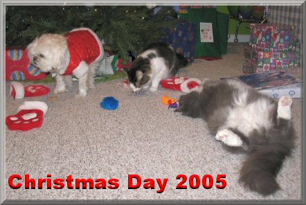 2005