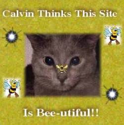 Caklvin's Bee Award