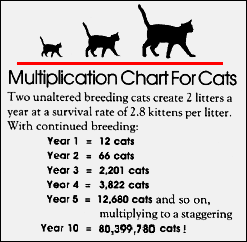 Multiplication Chart