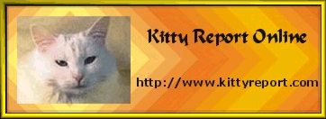 Kitty Report online