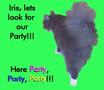 Fern looking for their party!