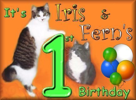 birthda3.jpg