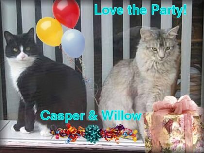 Casper & Willow