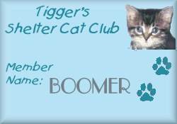 Tiggers Shelter Cat Club