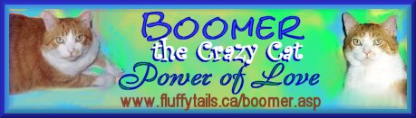 Boomers banner