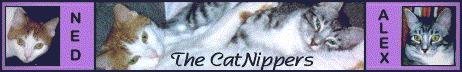 Ned & Alex - CatNippers Banner