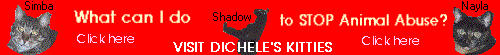 Dichele Banner