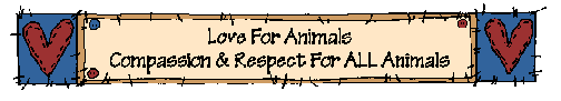 Love For Animals 