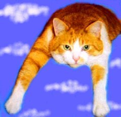 Boomer Supercat Position