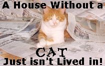 A house without a cat, just isn't lived in