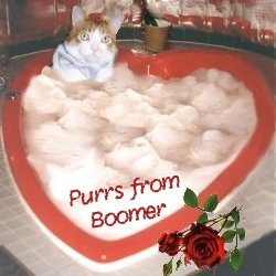 Boomer IN Heart Shaped Jacuzzi