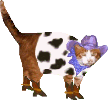 Boomer in cowboy costume