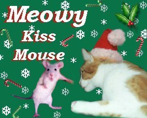 Boomer kissing mouse