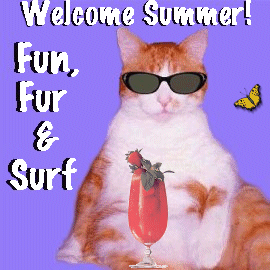 Fun, Fur & Surf