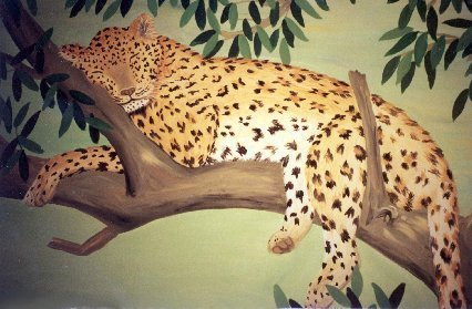 leopard