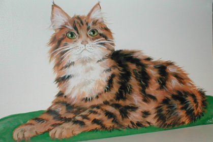 mainecoon cat