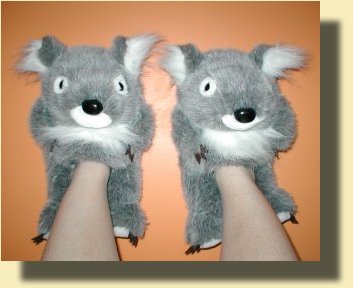 koala slippers