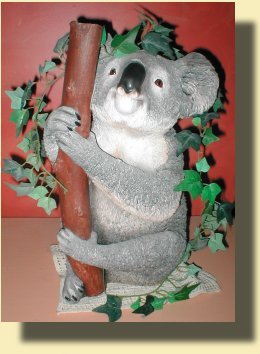 prettiest koala
