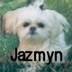 Link to Jazmyn's page