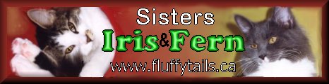 Fluffytails banner