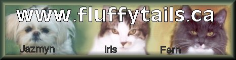 Fluffytails banner