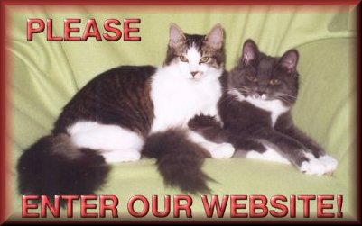 Please Enter Our Website