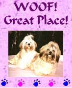 Woof Great Place Award