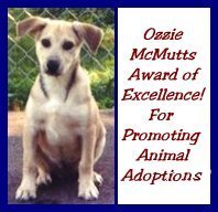 Ozzie Mcmutts Award for Promoting Animal Adoptions