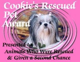 Cookies Award