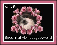 Mitzi's Award