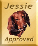 Jessie the Dachshund's Award