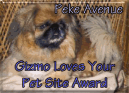 Gizmo the Peke's Award
