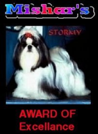 Stormy's Award