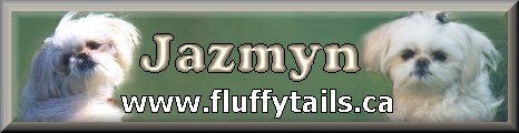 Jazmyn banner