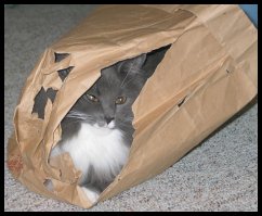 catbag