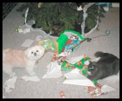 3 girls on
                      christmas