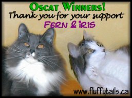 Oscat Winners