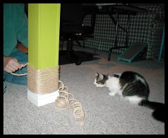 wrapping sisal