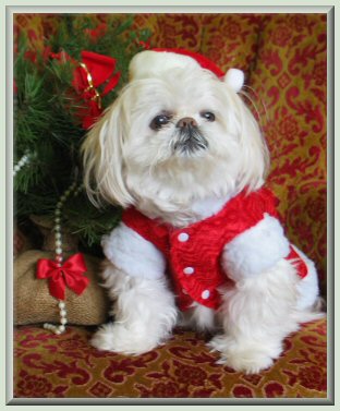 Santa suit