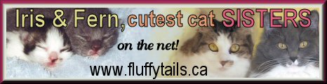 A visually beautiful website. Our cats and shih tzu present information in an entertaining delightful manor. Their Christmas tree decorating is worth the visit anytime.